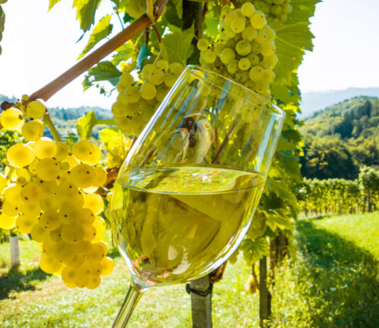 „WeinZeit“ 2026 am Bad Meinberger Badehaus: Bürgerengagement rettet beliebtes Event