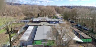 „Twixmas“-Flohmarkt im Tierheim Bad Salzuflen