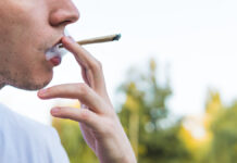 Tatverdächtige festgenommen: Drogenfahnder heben Cannabisplantage in Paderborn aus