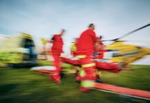 Tragischer Unfall bei Baumarbeiten in Paderborn-Marienloh: Arbeiter schwer verletzt