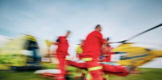 Tragischer Unfall bei Baumarbeiten in Paderborn-Marienloh: Arbeiter schwer verletzt