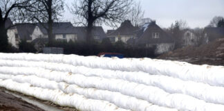Innovativer Hochwasserschutz in Klüt: Umfangreiche Maßnahmen im Detmolder Stadtteil