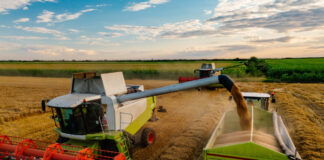 Kreis Lippe: Zwischenbilanz zur Getreide- und Rapsernte 2025