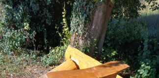 Lemgo: Bank an Wanderweg zerstört