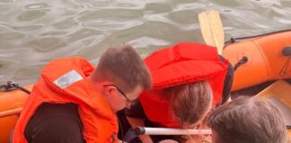 Feuerwehreinsatz am Meschesee in Pivitsheide: Schwanenküken aus Angelschnur gerettet