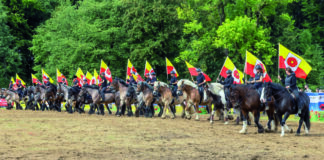 Pferdesport der Extraklasse: Alle Infos zur PferdeStark 2025