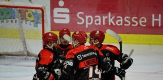 Eishockey: Herforder Ice Dragons mit Finalniederlage