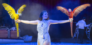 LWZ verlost Karten: Circus Freiwald gastiert in Lemgo