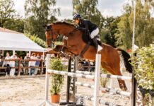 Gelungener Start: Rückblick auf Lipperreiher Reitertage 2025