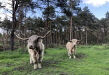 Oerlinghausen: „Urland“ für zwei renommierte Preise nominiert