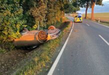 Wildunfall bei Borgentreich: Unfallfahrer verliert Führerschein nach Ausweichmanöver