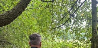 Tötungsdelikt in Hameln-Rohrsen: Polizei richtet Mordkommission ein und sucht Zeugen