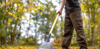 Gartenarbeit im Herbst: Tipps und Tricks für Hobby-Gärtner