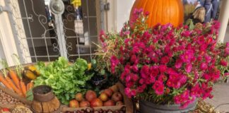 Bad Meinberg: Alle Infos zum Bauernmarkt 2025