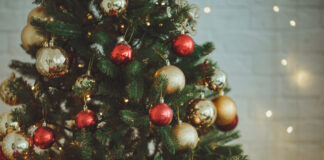 Auf die Bäume, fertig, los: Weihnachtsbaumsaison in NRW eröffnet