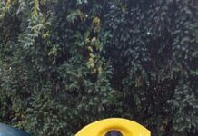 Nachhaltiges Sammelprojekt in Detmold: Altes Speiseöl wird zu Biodiesel