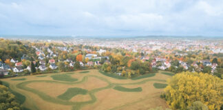 Detmold: Bürgerwald nimmt Gestalt an