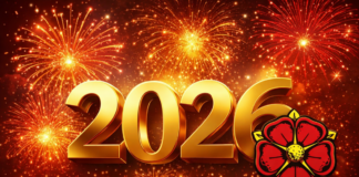 Zwischen Aktivrente, Mindestlohnerhöhung und Fußball-WM: Was erwartet die Lipper im Jahr 2026?