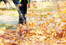 Herbstarbeit mit Nebenwirkungen: Darum raten Experten von Laubbläser-Nutzung ab