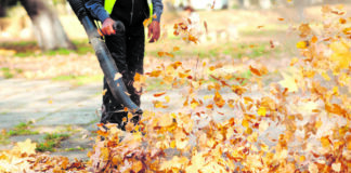 Herbstarbeit mit Nebenwirkungen: Darum raten Experten von Laubbläser-Nutzung ab