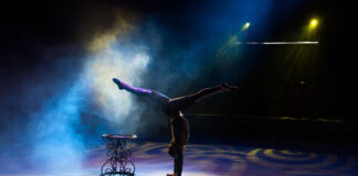 Wohnwagenbrand am Detmolder Weihnachtszirkus: Vorstellungen gehen weiter