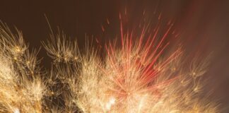 Spektakuläres Feuerwerk: Alle Infos zur Silvesterparty in Bad Salzuflen 2025