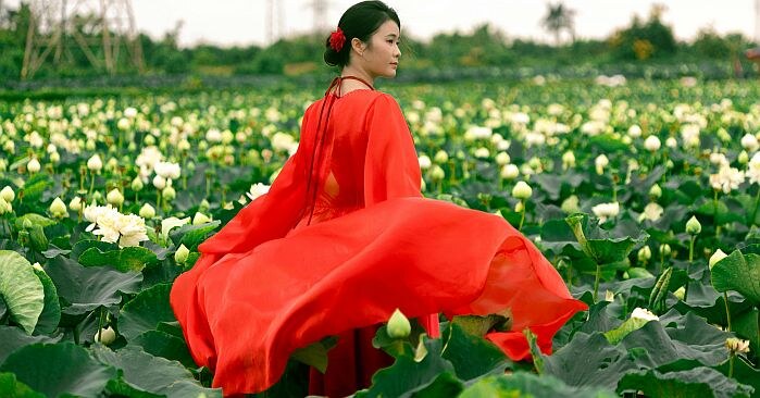 Defekte Sirene versetzt Nordlippe in Angst und Schrecken