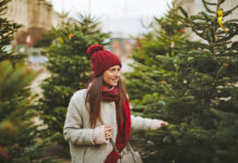 Tradition und Nachhaltigkeit: Echter Weihnachtsbaum bleibt Favorit