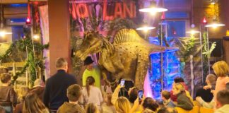 Prähistorisches Spektakel in Lemgo: „Dino-Theater-Show“ begeistert mehr als 170 Besucher