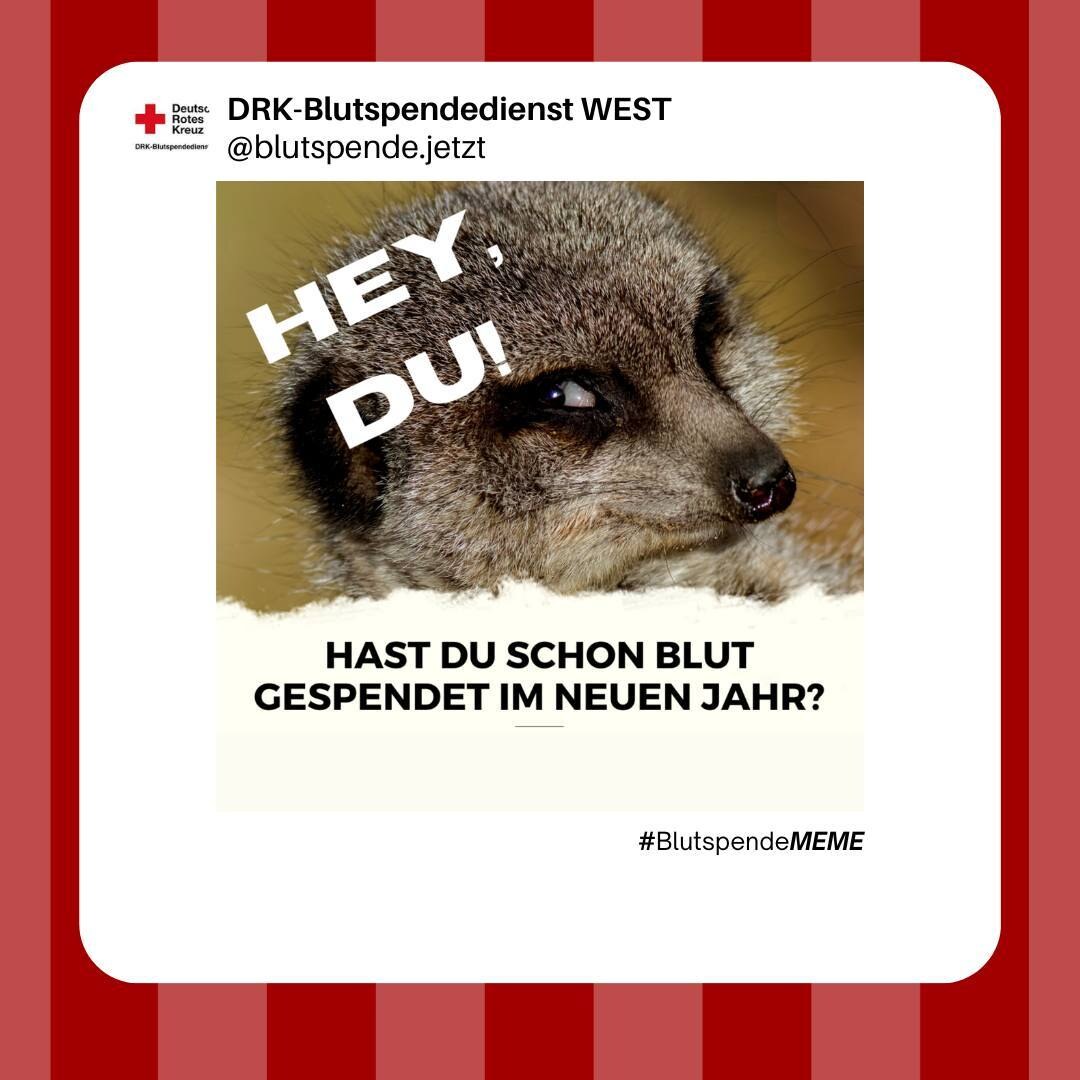 Blutspende-Bilanz 2025 und dringender Appell vom DRK aus Lemgo