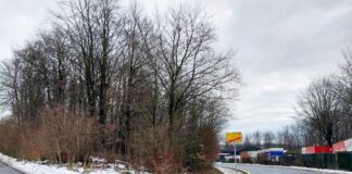 Barntrup/Extertal: Fällarbeiten für Radweg