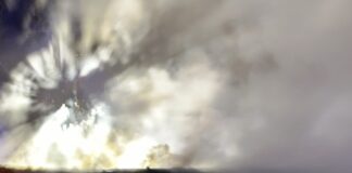 Carportbrand in Lage: Flammen verschlingen Ford