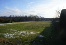 Interesse und Kritik: Neues Wohngebiet in Detmold-Diestelbruch in Planung