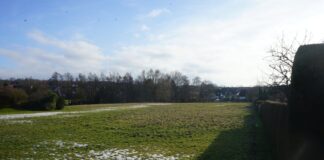 Interesse und Kritik: Neues Wohngebiet in Detmold-Diestelbruch in Planung