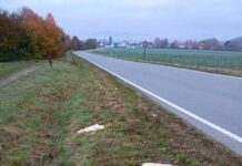 Drastische Bußgelder drohen: Illegale Entsorgung von Lebensmitteln in Detmold