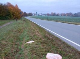 Drastische Bußgelder drohen: Illegale Entsorgung von Lebensmitteln in Detmold