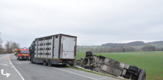 Großeinsatz in Blomberg: Viehtransporter verunglückt – 15 Schweine verendet
