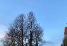 Blomberg: Weinbergweg vorübergehend gesperrt