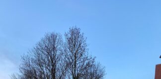 Blomberg: Weinbergweg vorübergehend gesperrt