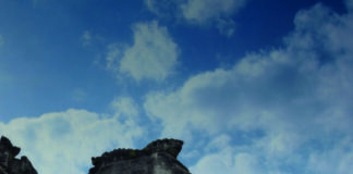 Ausflugsziel Teutoburger Wald: TouristikLinie 792 startet am 3. April