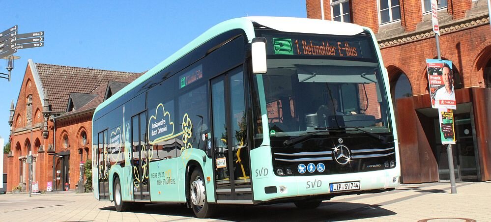 Mit der Busfahrkarte majestätische Greifvögel in Berlebeck erleben