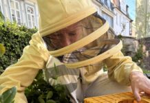 Bienenalarm in Detmold: Spielplatz „Unter der Wehme“ bleibt geschlossen