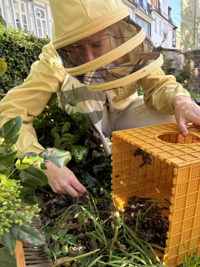 Folgeschwarm_Spielplatz
