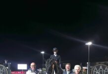 Pferdesport der Extraklasse: Europameisterin zu Besuch in Schloß Holte