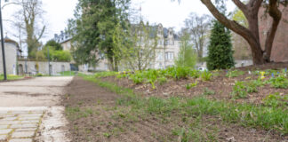 Detmold: Großflächige Rasensanierung im Schlosspark gestartet