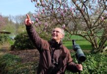 Naturerlebnis mit Tiefgang: Vogelstimmenspaziergang durch Detmold