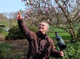 Naturerlebnis mit Tiefgang: Vogelstimmenspaziergang durch Detmold