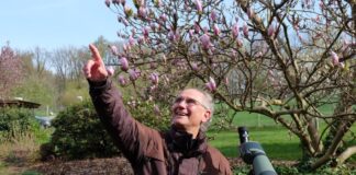 Naturerlebnis mit Tiefgang: Vogelstimmenspaziergang durch Detmold