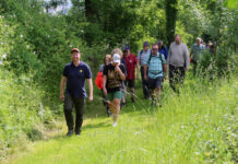 14. Kalletaler Wandertag am Fronleichnamstag: Alle Infos zu „Willer wandert“ 2026