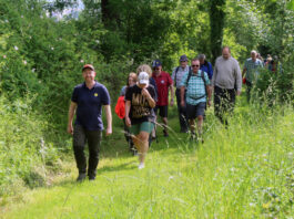 14. Kalletaler Wandertag am Fronleichnamstag: Alle Infos zu „Willer wandert“ 2026